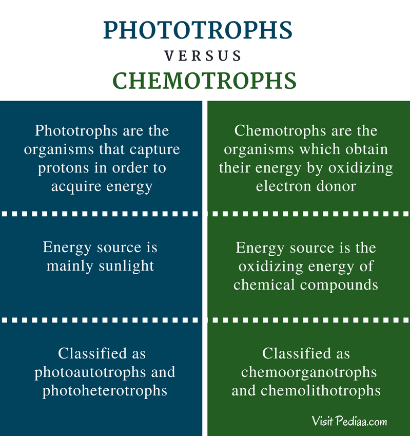 تفاوت شیمیواتروف ها و فوتوتروف ها