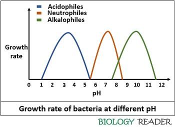 نمودار رشد باکتری ها در pH های مختلف