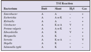 نتایج واکنش TSI
